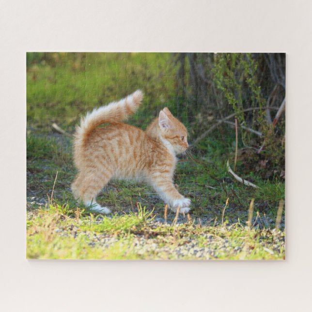 Orange Kitten Jigsaw Puzzle (Horizontal)