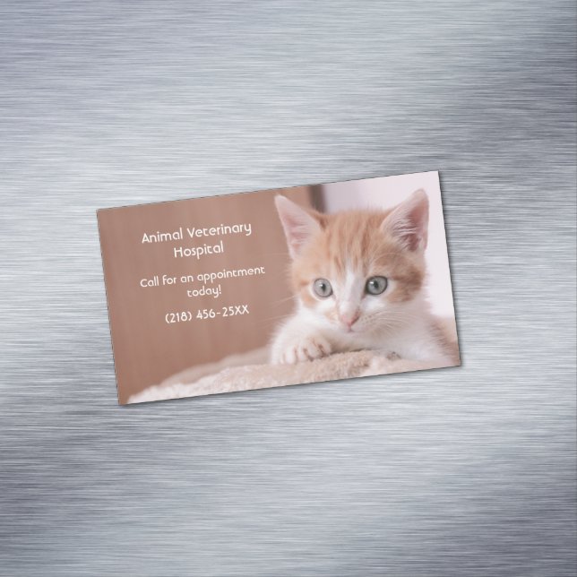 Orange Kitten Pet Care Magnetische Visitenkarte (Beispiel)