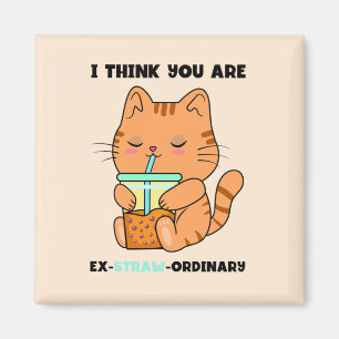 Orange Kitten Sie sind außergewöhnlich niedlich bo Magnet