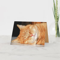 Orange Kitty Cat Niedliche individuell anpassbare