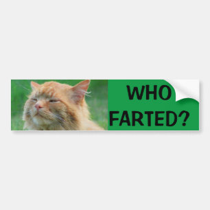Orange Kitty fragt, wem Farted? Autoaufkleber