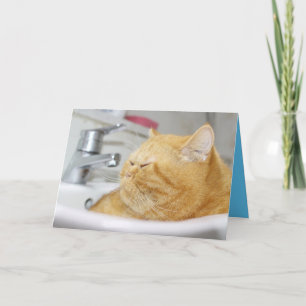 Orange Kitty Katze Süße Anpassbare Karte