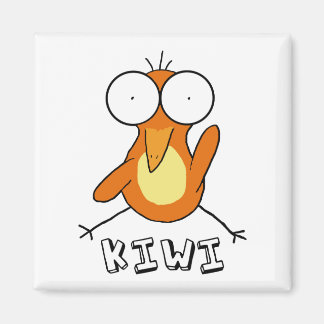 Orange Kiwi Magnet