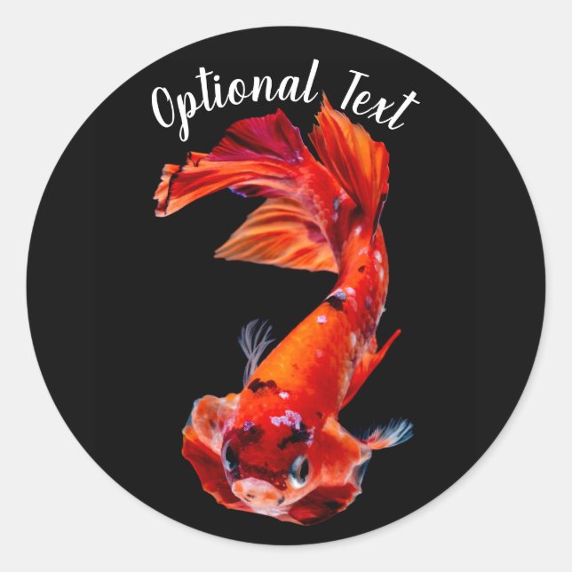 Orange Koi Betta Fighting Fish Runder Aufkleber (Vorderseite)