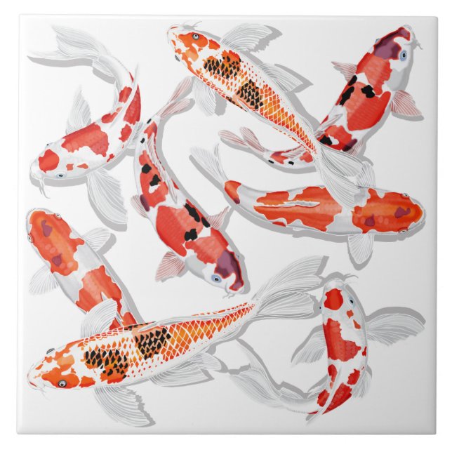 Orange Koi Fliese (Vorderseite)