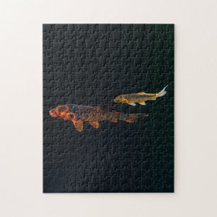 Orange Koi und Gold Koi