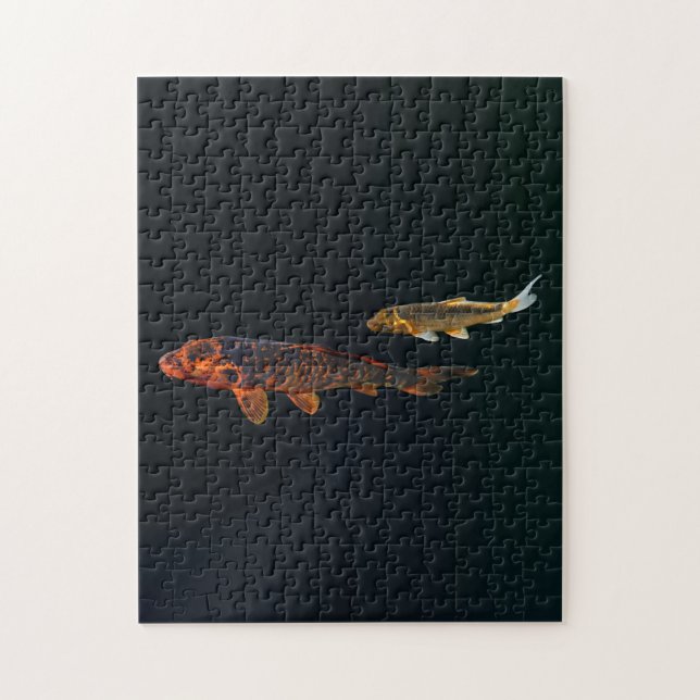 Orange Koi und Gold Koi (Vertikal)