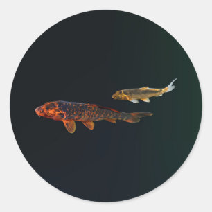 Orange Koi und Gold Koi Runder Aufkleber