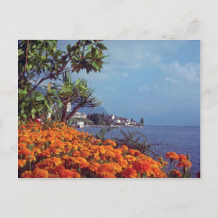Orange Lake Genf, Montreux, Schweiz Blume Postkarte