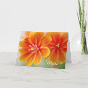 Orange Lewisia Floral Mütter Day Karte