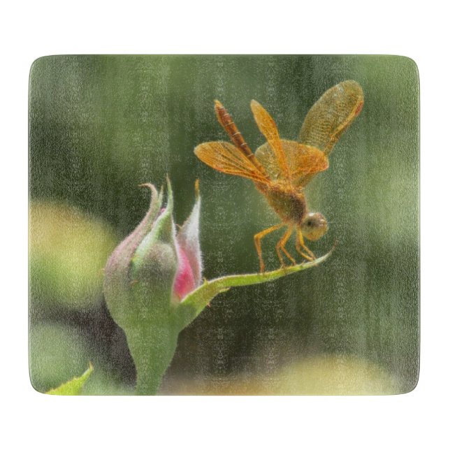 Orange Libelle auf rosa Rosenknospe Schneidebrett (Vorderseite)
