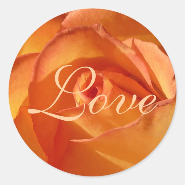 Orange Liebe Rose Aufkleber (Vorderseite)