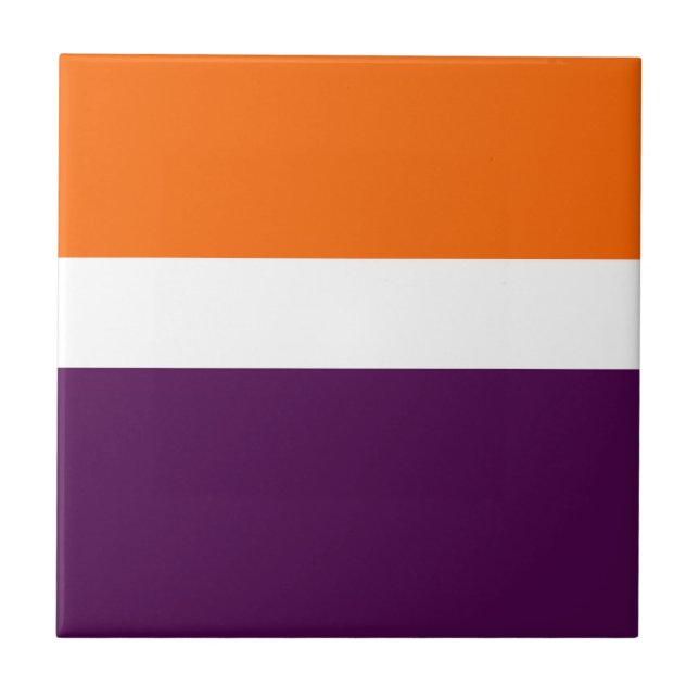 Orange, Lila Schlichte Farbblockgestaltung Fliese (Vorderseite)