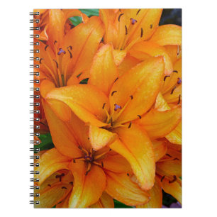Orange Lilien Blume Design Notebook Notizblock