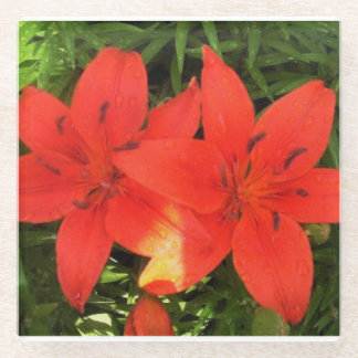 Orange Lilien Glasuntersetzer