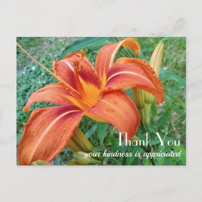 Orange Lily Blume Geschenk Vielen Dank Postkarte (Vorderseite)
