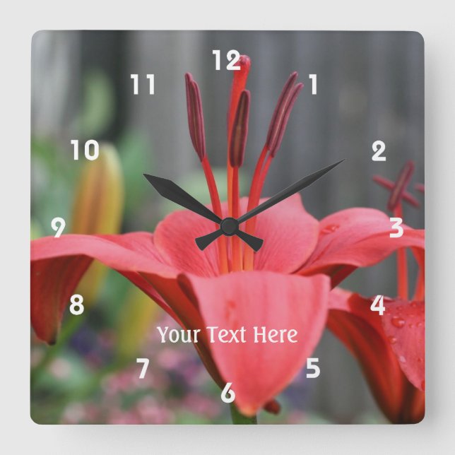 Orange Lily Blume Nature Quadratische Wanduhr (Vorderseite)