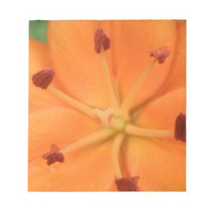 Orange Lily Floral Notepad Notizblock