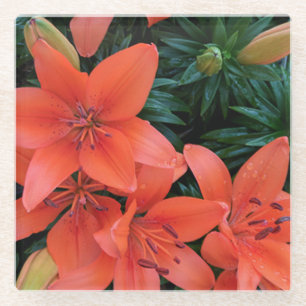 Orange Lily Glass Untersetzer