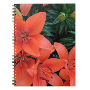Orange Lily Notizblock