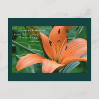 Orange Lily Postkarte