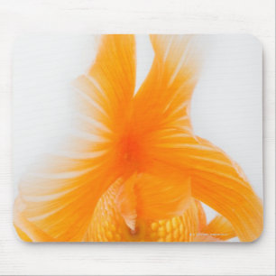 Orange lionhead Goldfisch (Carassius auratus) 2 Mousepad
