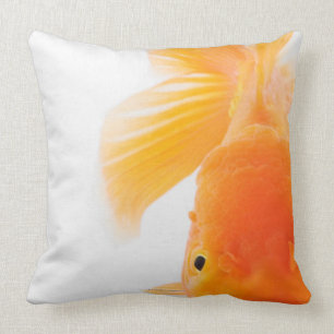 Orange lionhead Goldfisch (Carassius auratus) Kissen