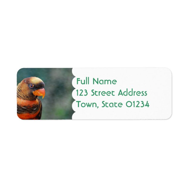 Orange Lorikeet Mailing Labels (Vorne)