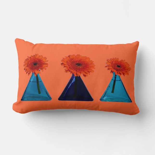 Orange lumbales Kissen (Vorderseite)