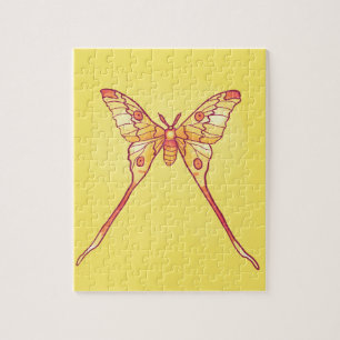 Orange Luna Moth Art - Farbiges Insekt