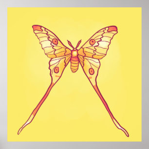 Orange Luna Moth Art - Farbiges Insekt Poster