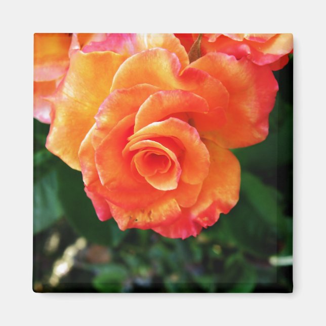 Orange Magnet (Vorne)