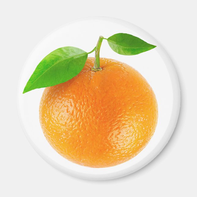 Orange Magnet (Vorne)