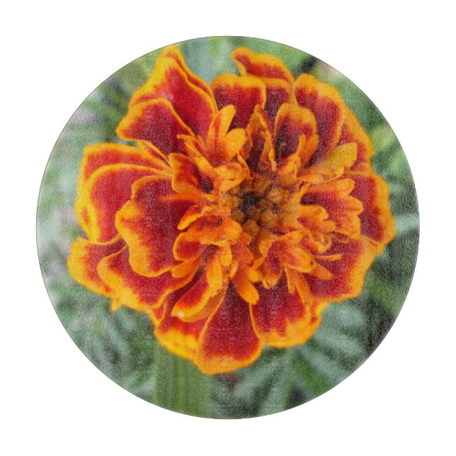 Orange Marigold Blume Schneidebrett (Vorderseite)