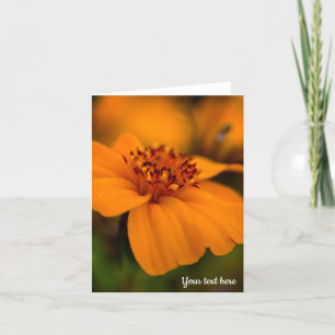 Orange Marigold Grußkarte Karte