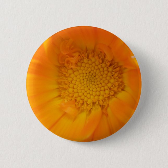 Orange Marigold Macro Button (Vorderseite)