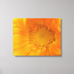 Orange Marigold Macro Canvas Print Leinwanddruck