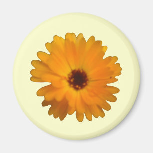 Orange Marigold Magnet