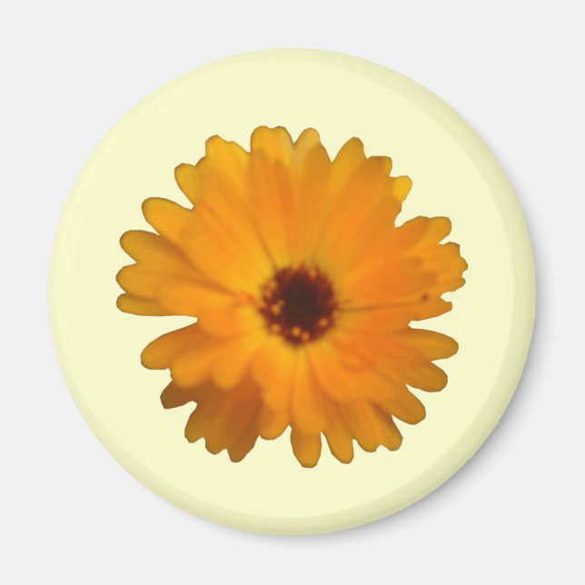 Orange Marigold Magnet (Vorne)