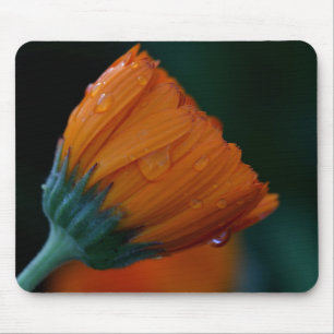 Orange Marigold Mousepad