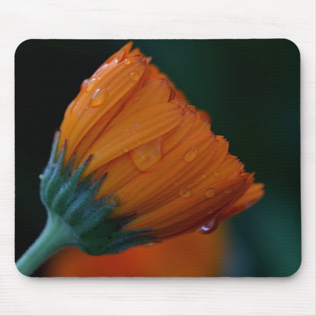 Orange Marigold Mousepad (Vorne)