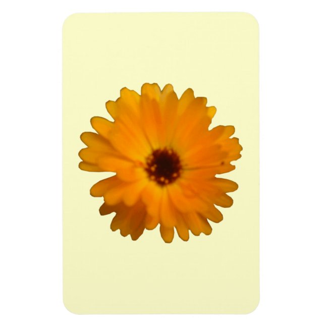 Orange Marigold Premium Magnet (Vertikal)