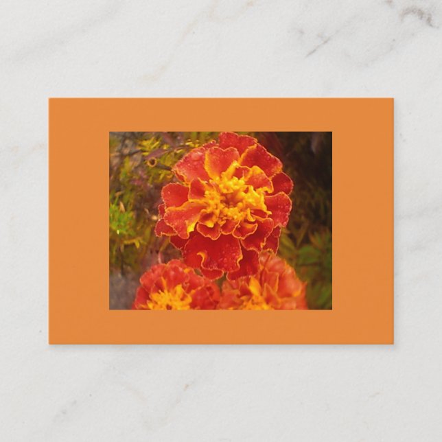 Orange Marigold Visitenkarte (Vorderseite)