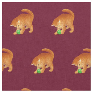 Orange Miezekatze-Katze, die mit Ball-Gewebe Stoff