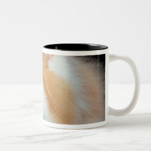Orange mit Augen und niedliche Katze Zweifarbige Tasse