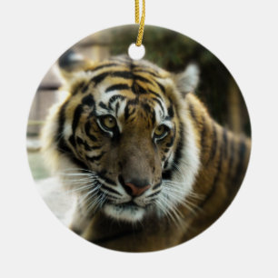 Orange mit schwarzen Streifen Bengalisches TigerFo Keramik Ornament