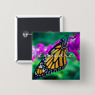 Orange Monarch Butterfly Entdecken Sie Script Mode Button