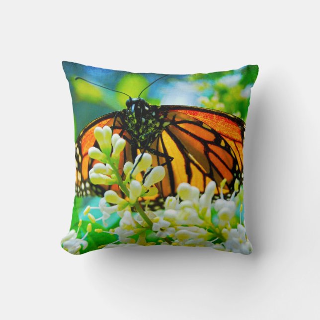 Orange Monarch Butterfly Foto Farbenfroh Modern Kissen (Vorderseite)