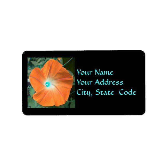 Orange Morning Glory Address Labels Adressaufkleber (Vorne)