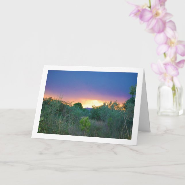 Orange Mountain Sky Karte (Orchidee)